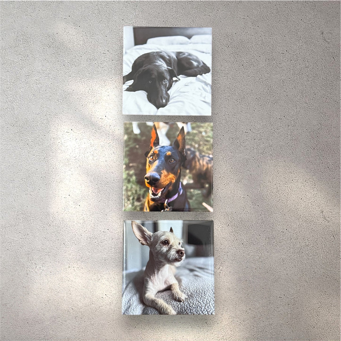 2'5x2'5 Custom Photo Magnets
