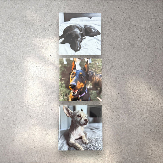 2'5x2'5 Custom Photo Magnets